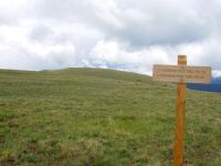 Ptarmigan Pass Trail